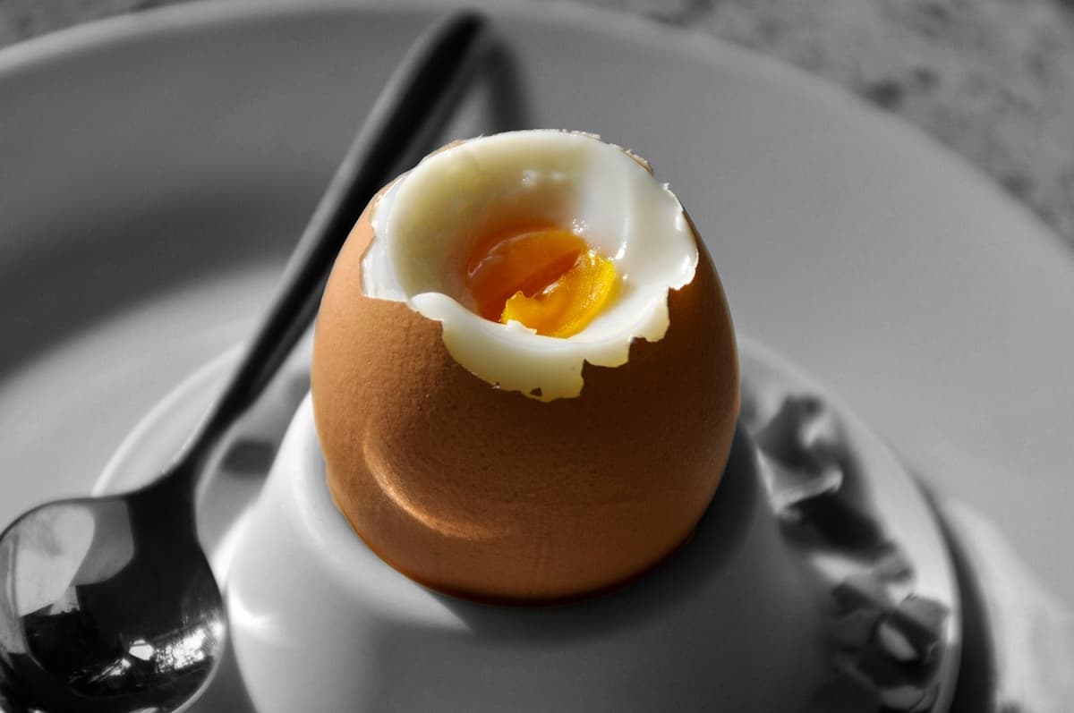 boiled_egg.jpg